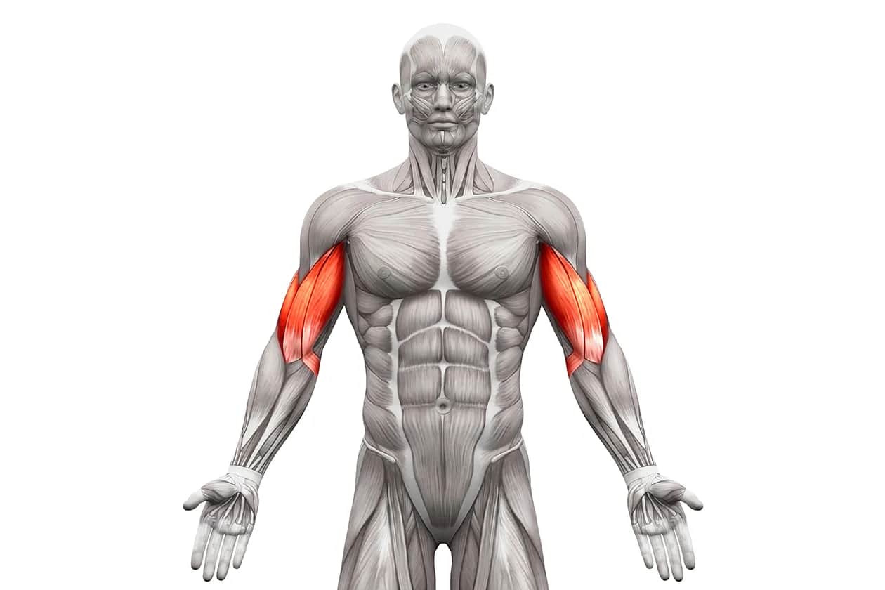 Jak rozciągać biceps? Uniknij 5 błędów i zyskaj siłę!